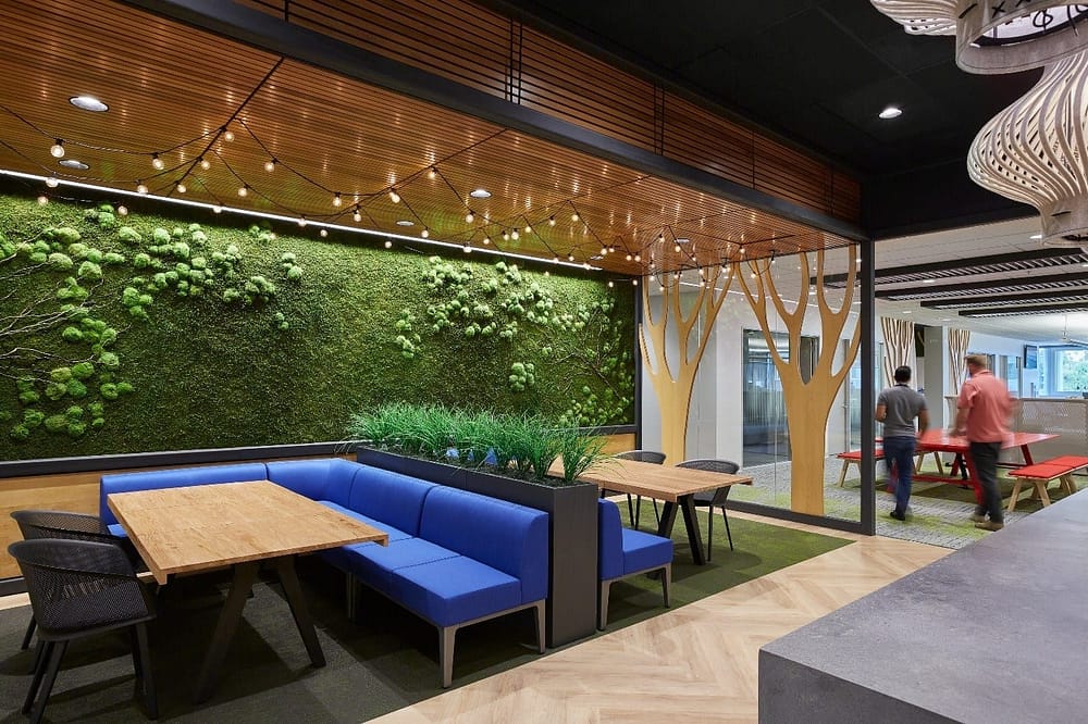 Biophilic elements in an employee cafe area