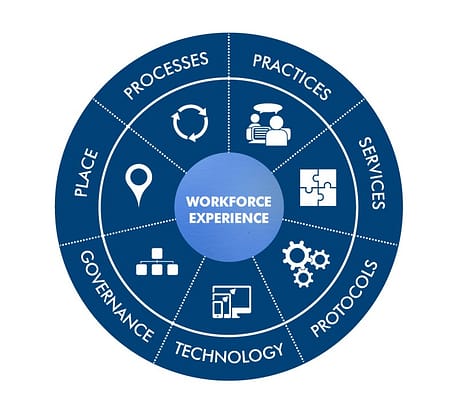 Workforce Experience Graphic_Revived Version-01