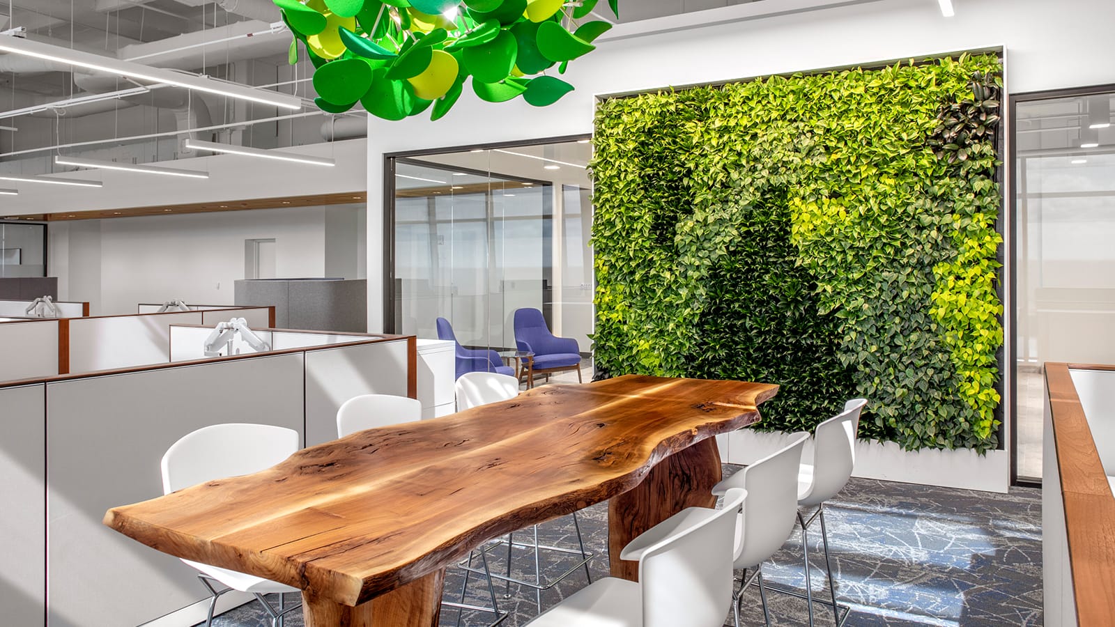 A living plant wall at the Arch Insurance work space in Raleigh
