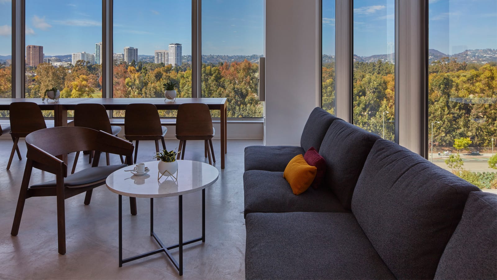 Thompson Coburn's Los Angeles Office has fantastic views of the city