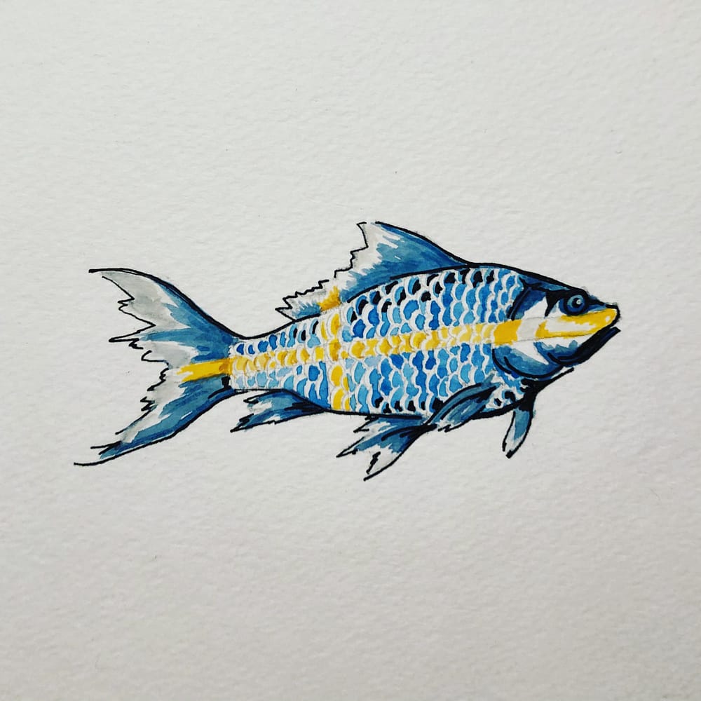 The Swedish Fish
