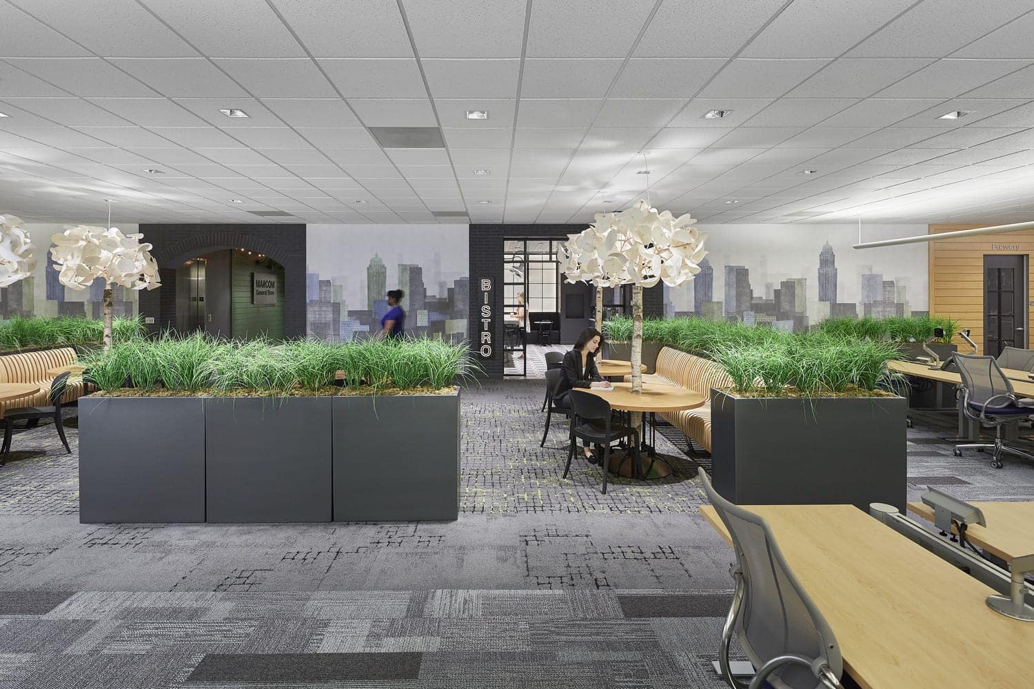 Workplace lighting design in Raleigh office
