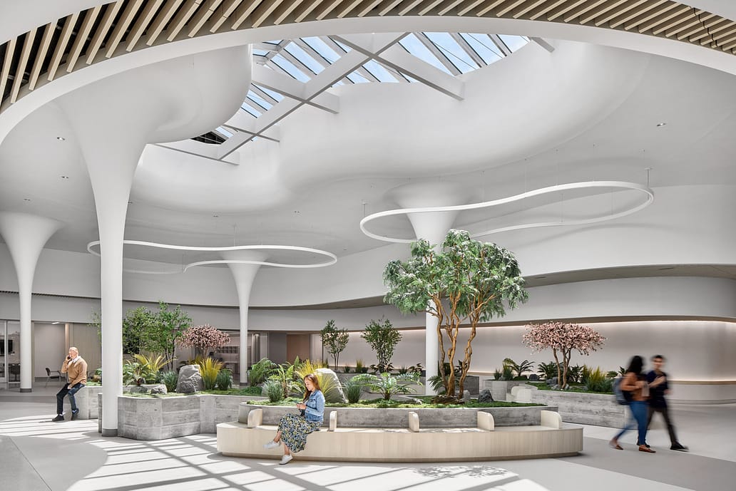 NEMS PACE San Jose CA_Park 1