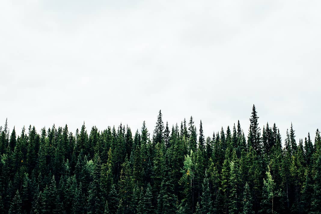 sustainability