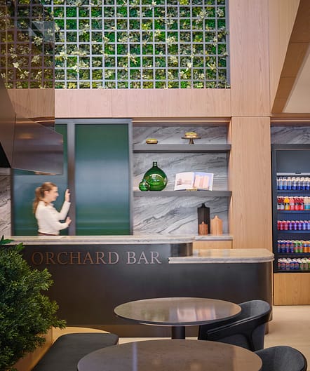 Orchard Bar_Chicago