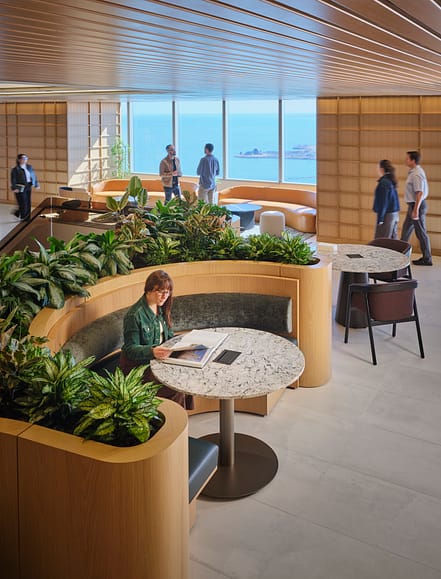 Organic Forms Natural Matierals_Chicago