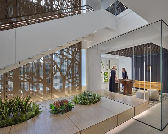 FINRA_DC_ Gameroom and Biophilia